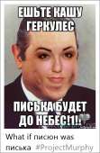 484x737