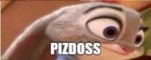 250x101