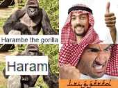 480x360