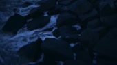 1280x720