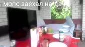 1280x720