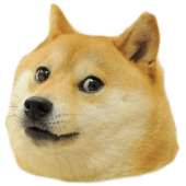 2277x2277