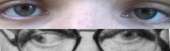 500x150