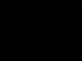 384x288