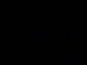 384x288