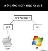 480x509