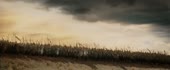 950x394