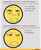 423x517