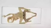 500x280