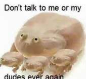 433x399