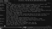 1366x768