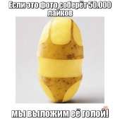 600x600