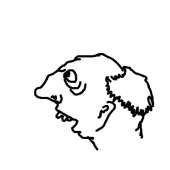 400x400