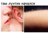 604x413