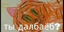 552x282