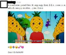 407x337