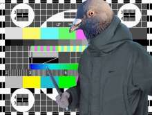 807x609