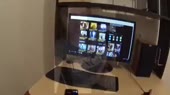 480x270