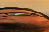 1250x830