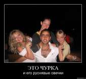 720x660