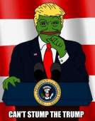 392x497