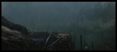 1000x450
