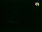 480x360
