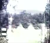 620x540