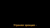 1280x720