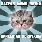 600x600