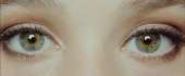 800x333