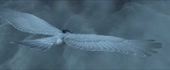 1920x800