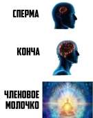 629x788
