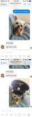 540x1922