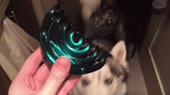 500x280