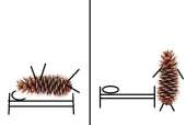 600x405