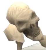 405x437