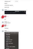 536x782