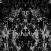 2000x2000