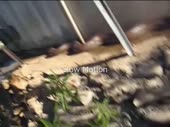 480x360
