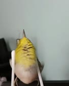 720x900