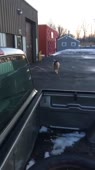 360x640