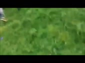 480x360