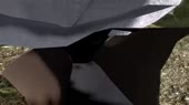 640x360