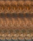 600x743