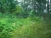 480x360