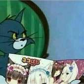 612x612