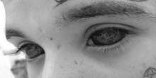 500x252