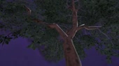 640x360
