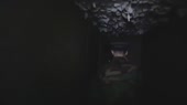 640x360
